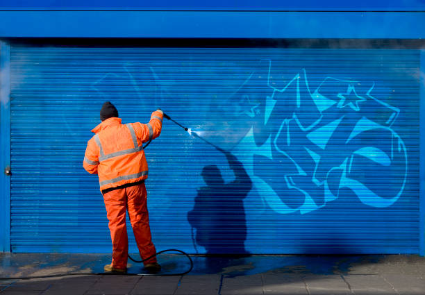Best Affordable Pressure Washing  in Alamae, NC