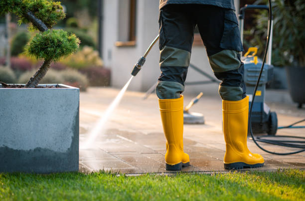 Best Deck Cleaning Services  in Alamae, NC